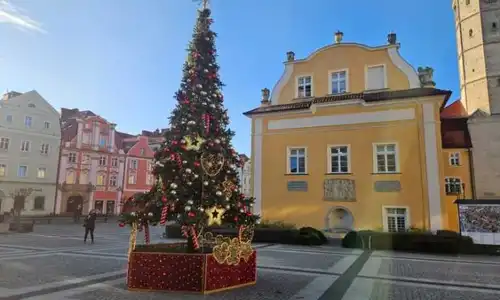 W Rynku wreszcie stanęło idealne drzewo!