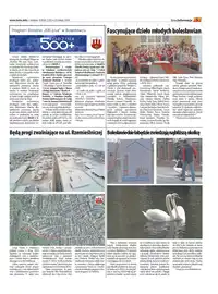 Wydanie 4/2016 (119) - strona 005
