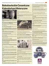 Wydanie 15/2019 (202) - strona 013