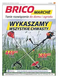 Wydanie 11/2021 (246) - strona 003