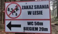 "Zakaz srania w lesie" – dosadny apel do turystów odwiedzających Karkonosze