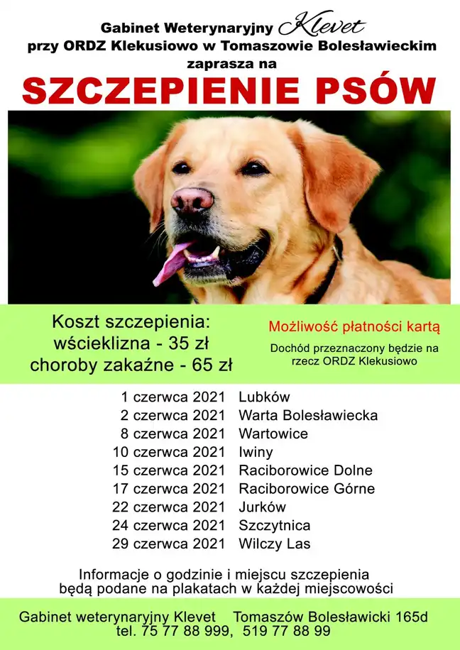 Bolec.Info - zdjęcie