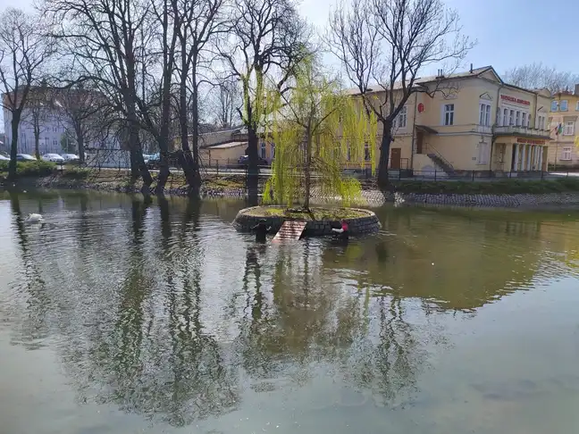 Bolec.Info - zdjęcie