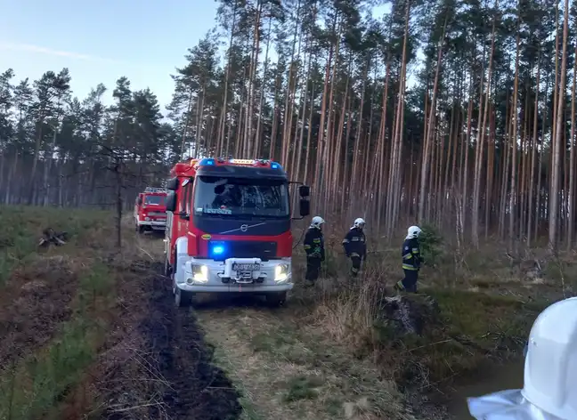 Bolec.Info - zdjęcie