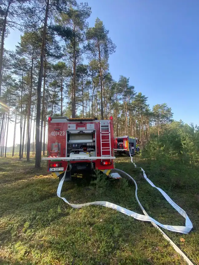 Bolec.Info - zdjęcie