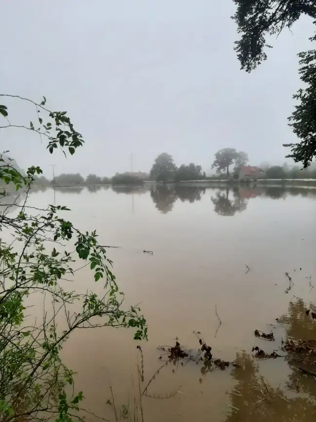 Bolec.Info - zdjęcie