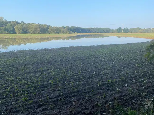 Bolec.Info - zdjęcie