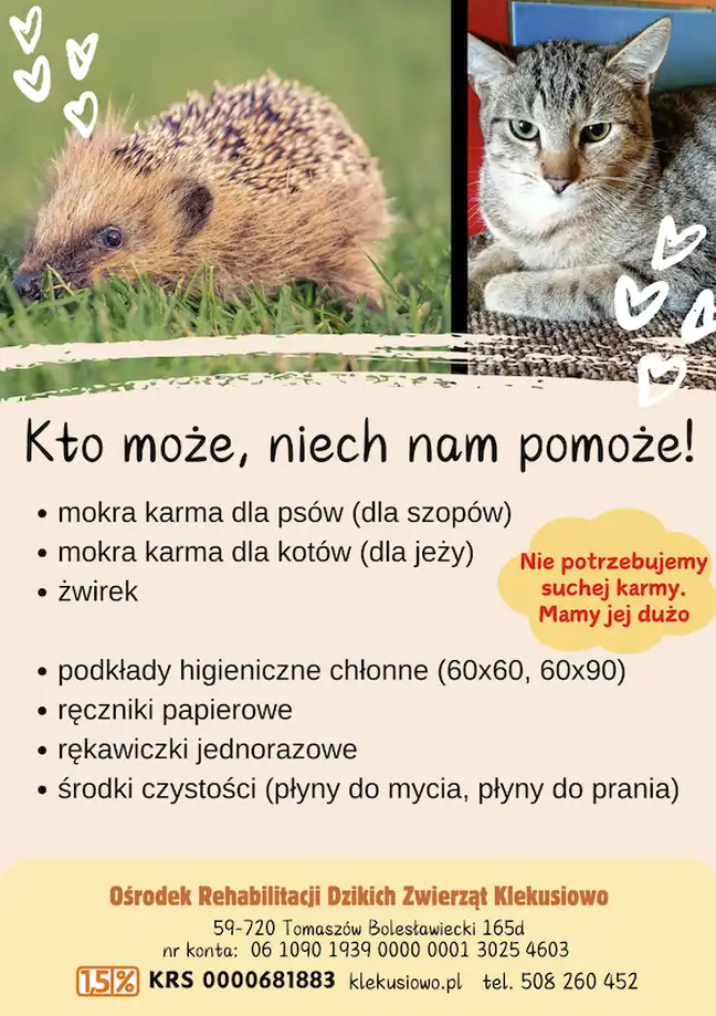 Bolec.Info - zdjęcie