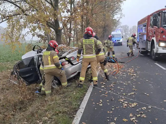 Bolec.Info - zdjęcie