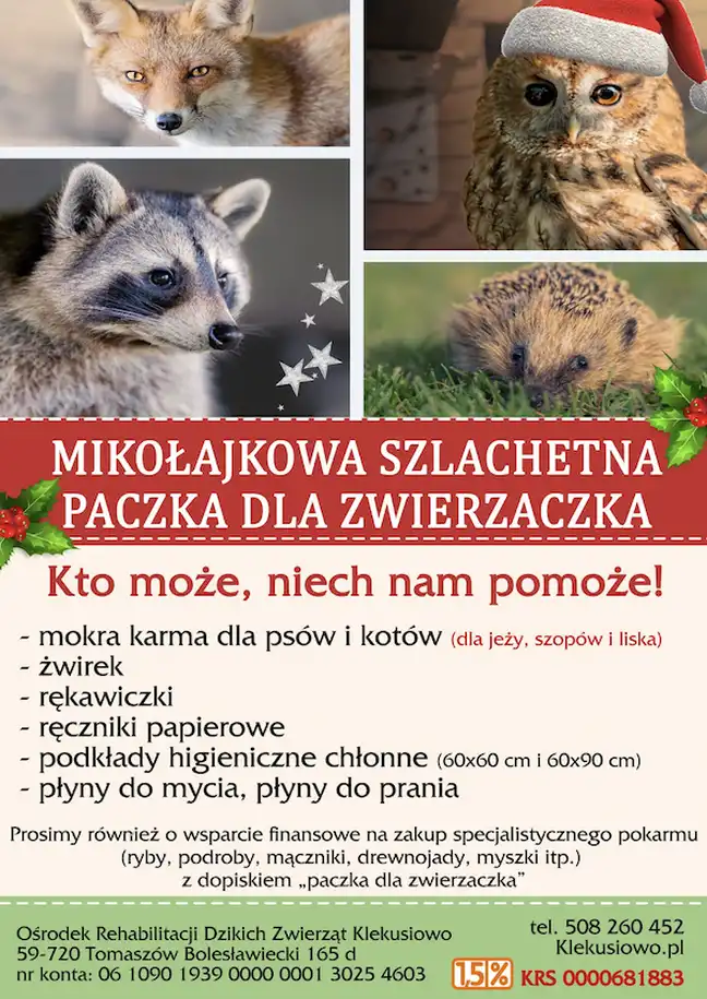 Bolec.Info - zdjęcie