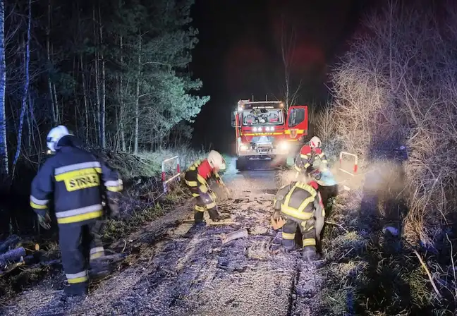 Bolec.Info - zdjęcie