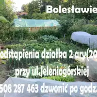 Działka 2 ary przy ul.Jeleniogórskiej