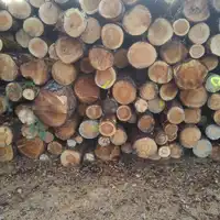 Drewno Opałowe i Kominkowe