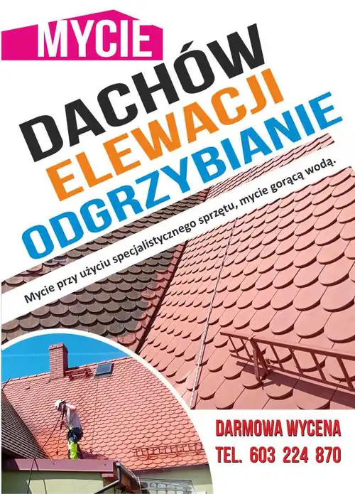 Mycie kostki, dachów