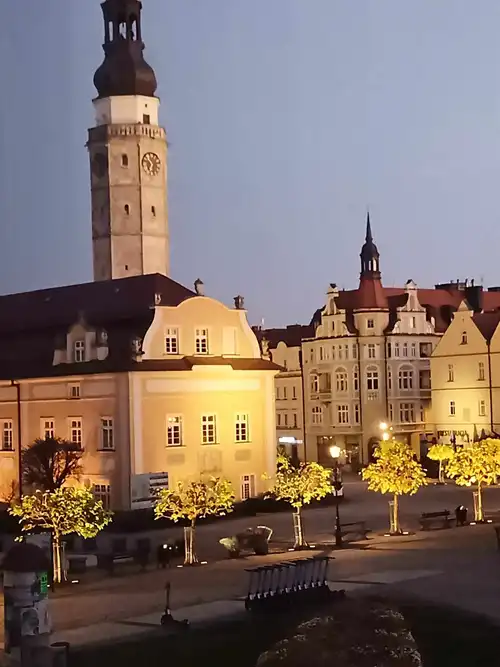 Mieszkanie w centrum do wynajęcia