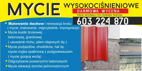 Malowanie dachów, mycie kostki, elewacji