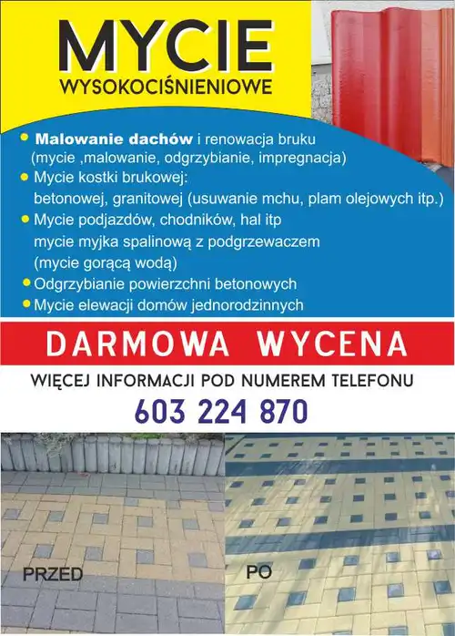 Malowanie dachów, mycie kostki, elewacji